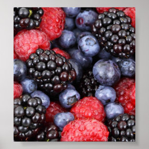 Hintergrund für Waldfrüchte Poster