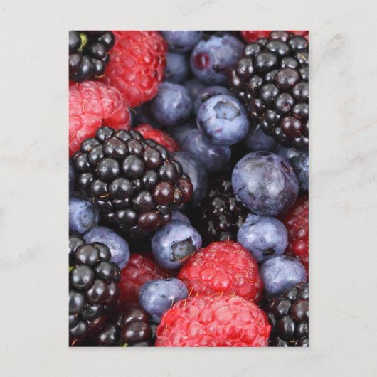 Hintergrund für Waldfrüchte Postkarte (Vorderseite)