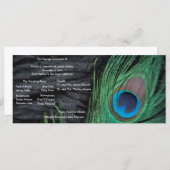 Hintergrund-Hochzeitsprogramm für Black Peacock Ve Programm (Vorne/Hinten)