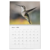 Hintergrund Hummingbirds 8.5" x 11" Kalender (Mär 2026)