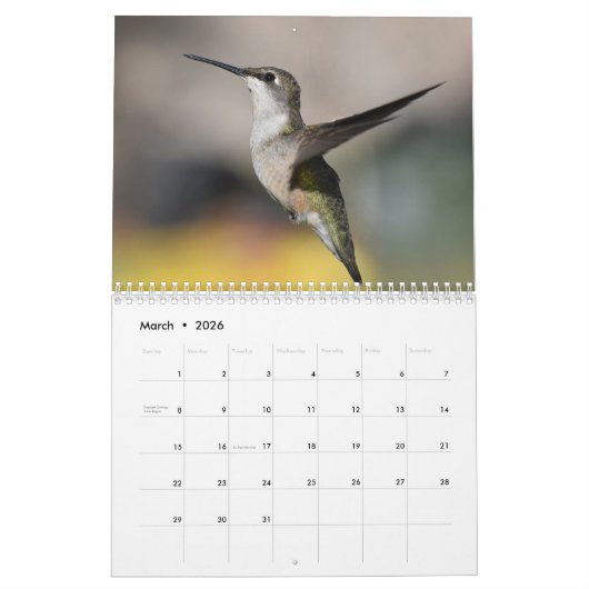 Hintergrund Hummingbirds 8.5" x 11" Kalender (Mär 2026)