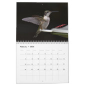Hintergrund Hummingbirds 8.5" x 11" Kalender (Feb 2026)