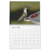 Hintergrund Hummingbirds 8.5" x 11" Kalender (Jan 2026)