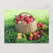 Hintergrund im Herbst Postkarte (Vorderseite)