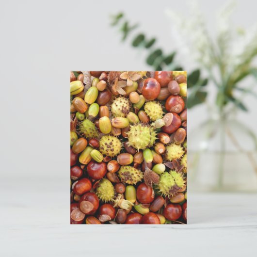 Hintergrund im Herbst Postkarte (Stehend Vorderseite)