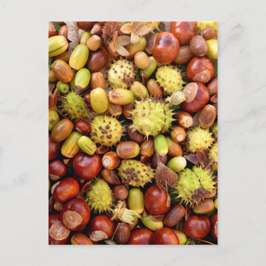 Hintergrund im Herbst Postkarte (Vorderseite)