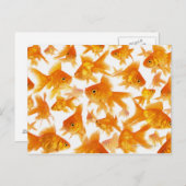 Hintergrund mit einer großen Goldfischgruppe Postkarte (Vorne/Hinten)