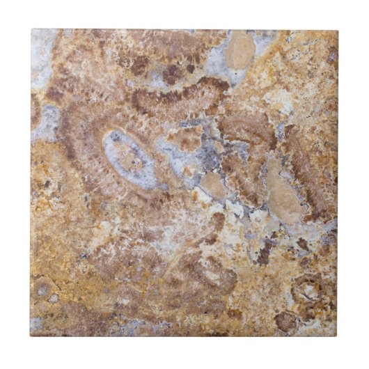 Hintergrund mit Marmormuster Fliese (Vorderseite)