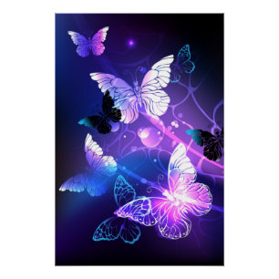 Hintergrund mit Nachtfalter Poster