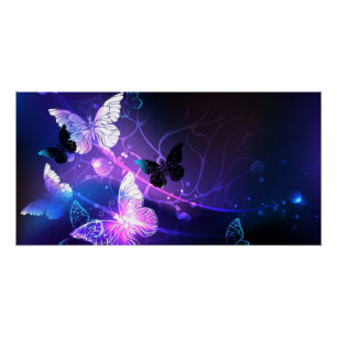 Hintergrund mit Nachtfalter Poster