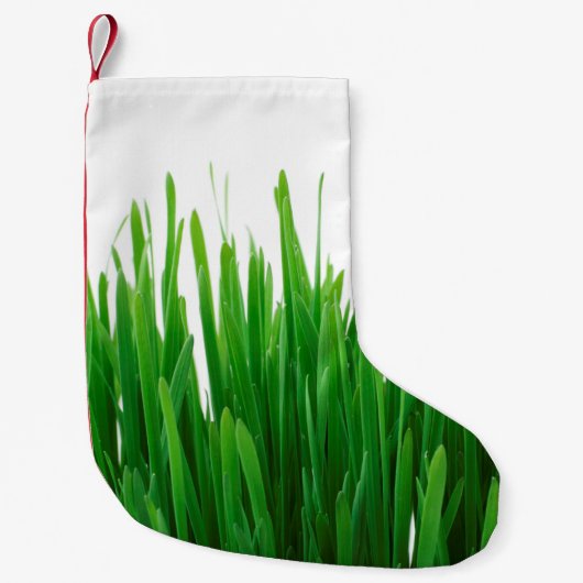 Hintergrund nah Flora frisch Kleiner Weihnachtsstrumpf (Vorderseite)