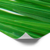 Hintergrund nah Flora frisch Poster (Ecke)