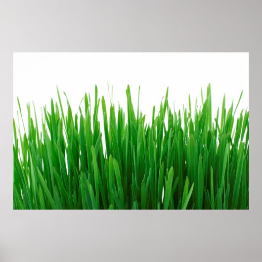 Hintergrund nah Flora frisch Poster (Vorne)