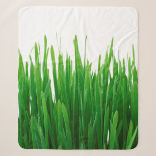 Hintergrund nah Flora frisch Sherpadecke