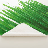 Hintergrund nah Flora frisch Sherpadecke (3/4)