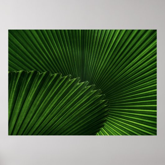 Hintergrund Poster (Vorne)