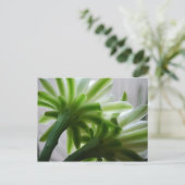 Hintergrund Postkarte (Stehend Vorderseite)