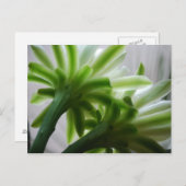 Hintergrund Postkarte (Vorne/Hinten)