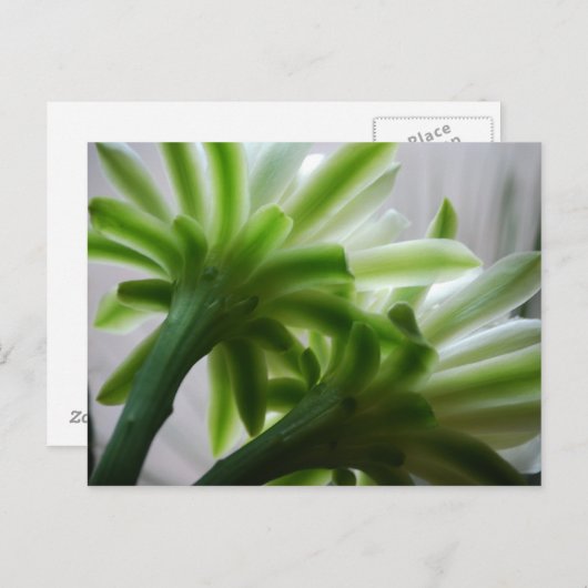 Hintergrund Postkarte (Vorne/Hinten)