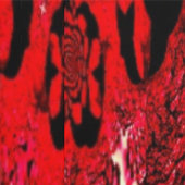 Hintergrund - Schwarze Himbeere & Feurige Spirale Tapete (Naht)