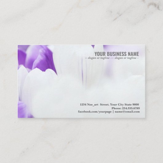 Hintergrund Visitenkarte (Rückseite)