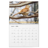 Hintergrund-Vogelkalender 4. Kalender (Mär 2026)