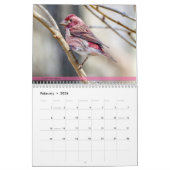 Hintergrund-Vogelkalender 4. Kalender (Feb 2026)