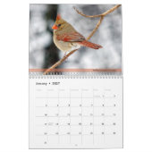 Hintergrund-Vogelkalender 4. Kalender (Jan 2027)