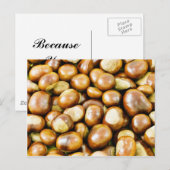 Hintergrund von Conkers Postkarte (Vorne/Hinten)