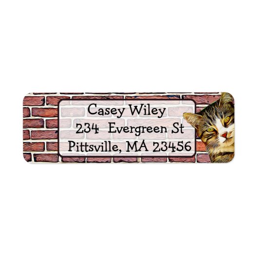 Hintergrundadresse für Cat Brick Wall (Vorne)