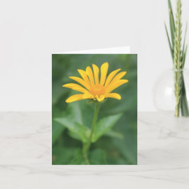 Hintergrundbeleuchtete Blume Dankeskarte