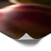 Hintergrundbeleuchtete farbenfrohe Blume Bud mit R Poster (Ecke)