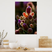 Hintergrundbeleuchtete farbenfrohe Blume Bud mit R Poster (Küche)