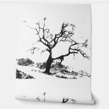 Hintergrundbild COOL ÖKO STYLE DESIGN