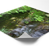 Hintergrundbild des Fotos für die Fixierseite Poster (Ecke)