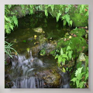 Hintergrundbild des Fotos für die Fixierseite Poster