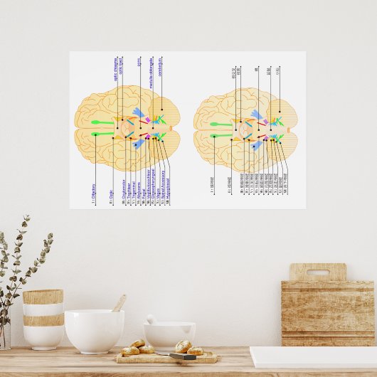 Hintergrundbild Englisch & Japanisch Poster (Küche)