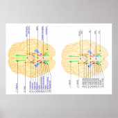 Hintergrundbild Englisch & Japanisch Poster (Vorne)
