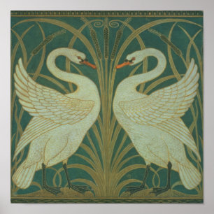 Hintergrundbild für die Tafel "Swan, Rush & Iris" Poster
