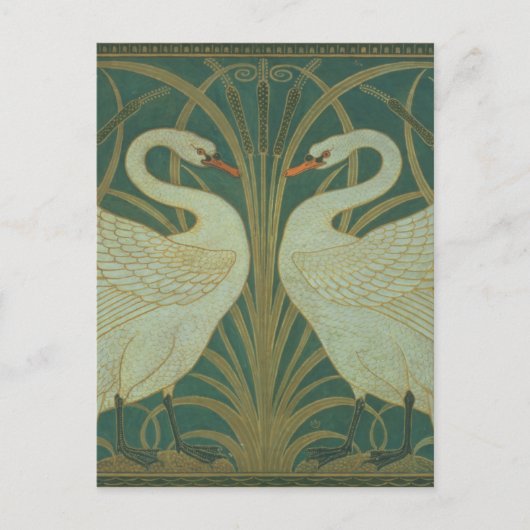 Hintergrundbild für die Tafel "Swan, Rush & Iris" Postkarte (Vorderseite)