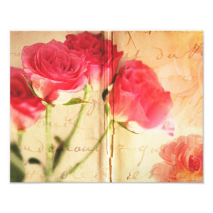 HintergrundCollage Rose Blume für Rosa Fotodruck