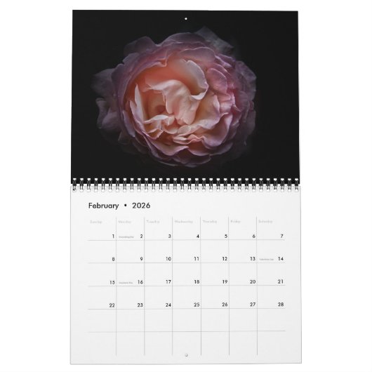 Hintergrundfarbe Blume Nr. 106 Kalender (Feb 2026)