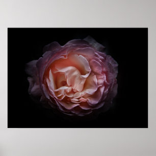 Hintergrundfarbe Blume Nr. 106 Poster