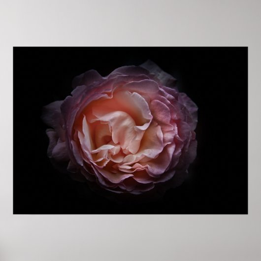 Hintergrundfarbe Blume Nr. 106 Poster (Vorne)