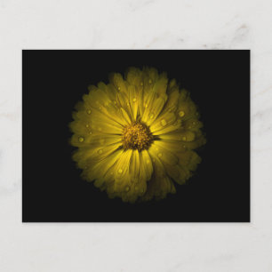 Hintergrundfarbe Blume Nr. 10 Postkarte