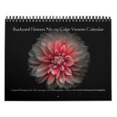 Hintergrundfarbe Blume Nr. 125 Kalender (Titelbild)