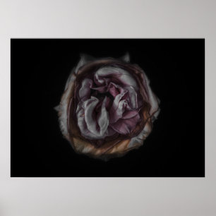 Hintergrundfarbe Blume Nr. 140 Poster