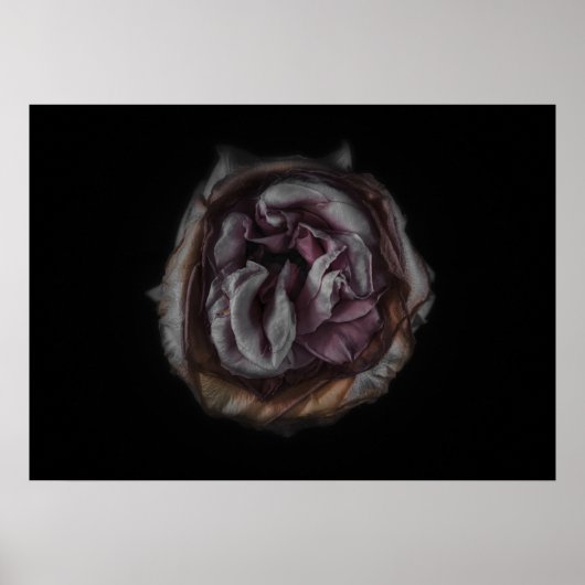 Hintergrundfarbe Blume Nr. 140 Poster (Vorne)