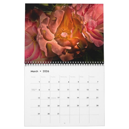 Hintergrundfarbe Blume Nr. 40 Kalender (Mär 2026)