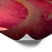 Hintergrundfarbe Blume Nr. 40 Poster (Ecke)